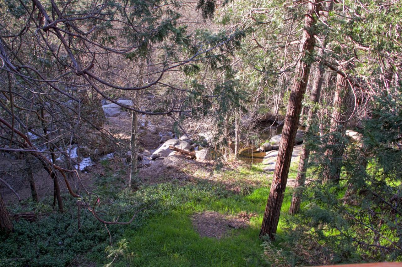 Вилла Sierra Springs Окхерст Экстерьер фото